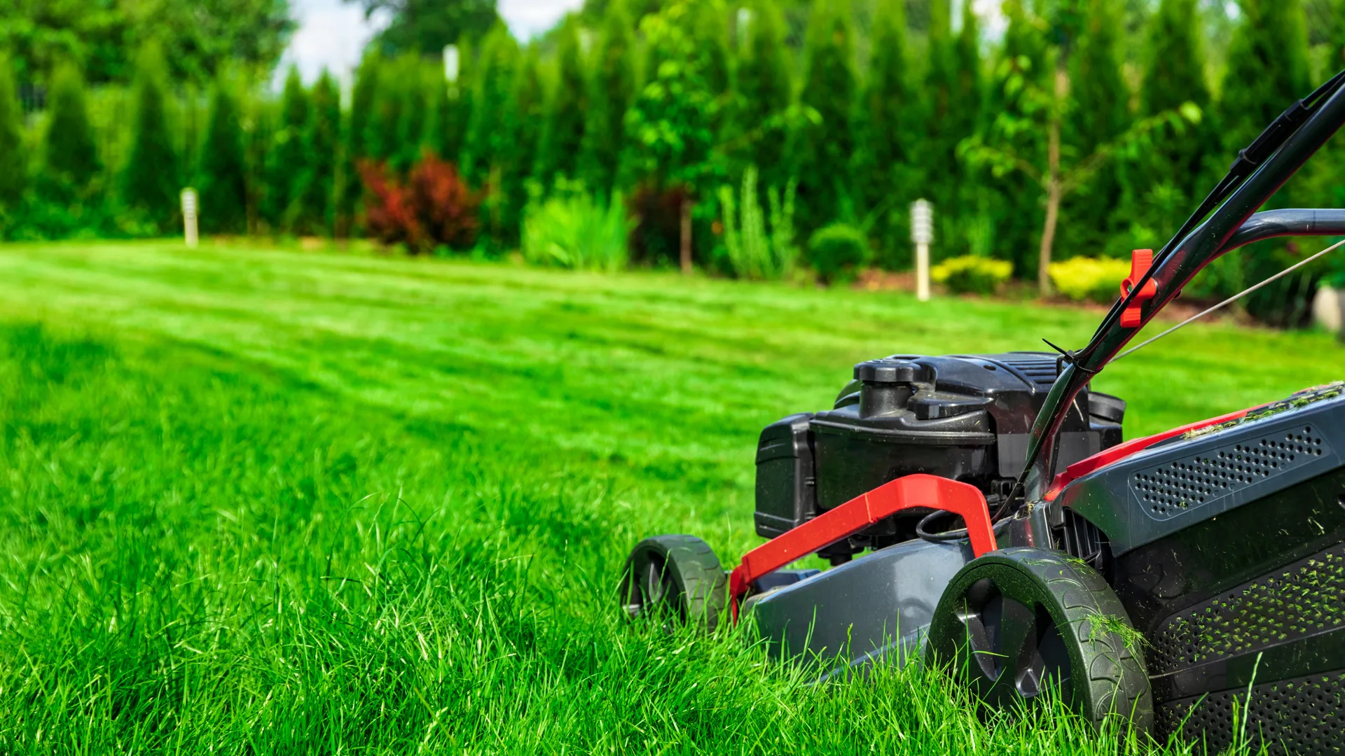 Regular garden maintenance visits Cornwall