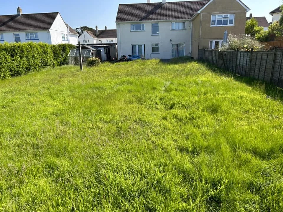 Completely overgrown garden before clearance