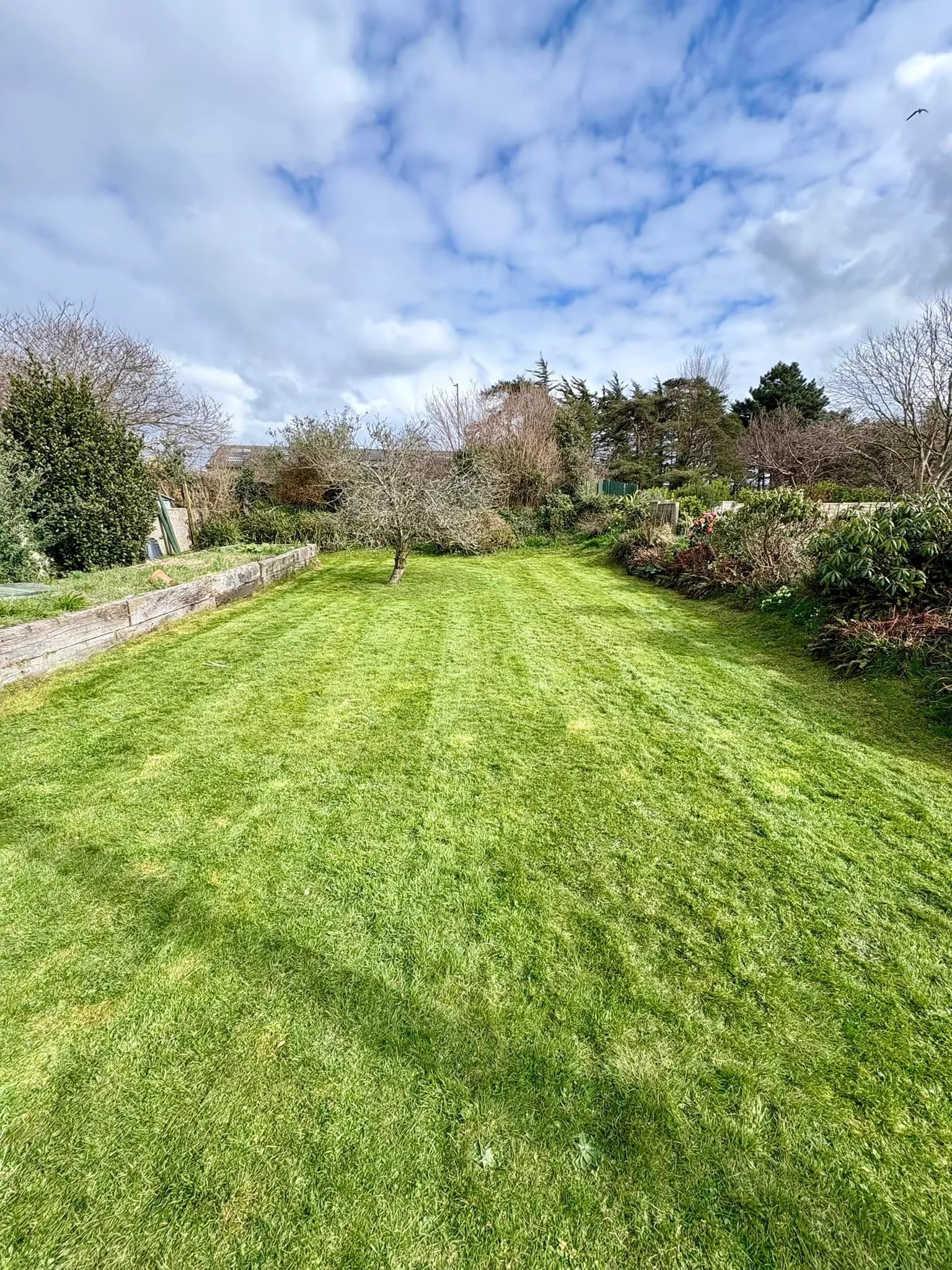 Neat tidy garden after weeding and pruning