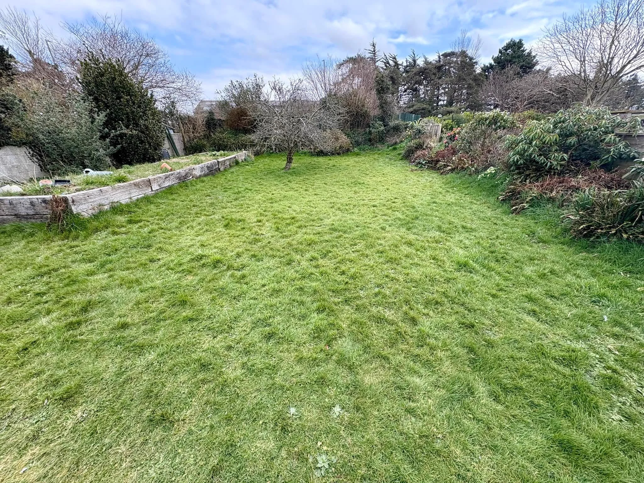 Overgrown weedy garden before tidying