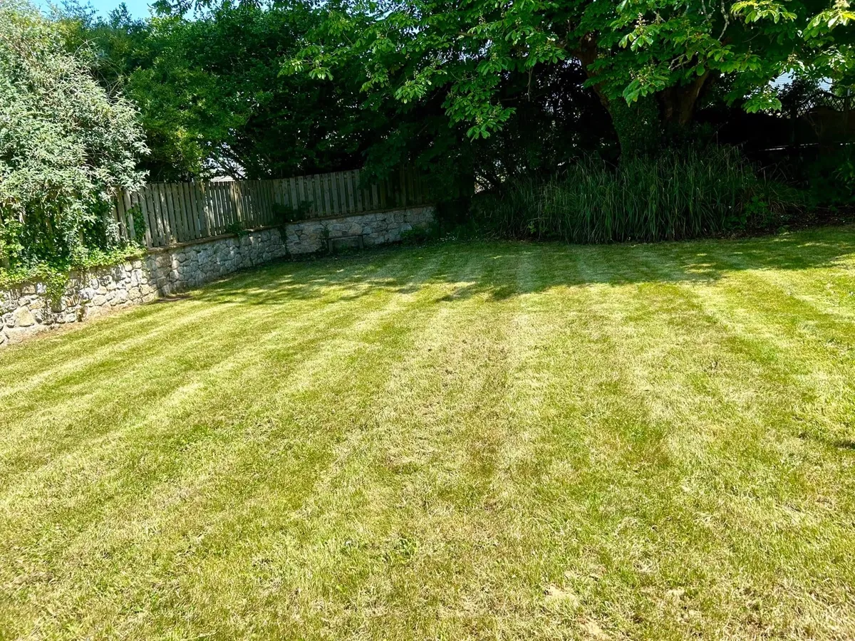 Cleared tidy garden after work by Sean's Lawns