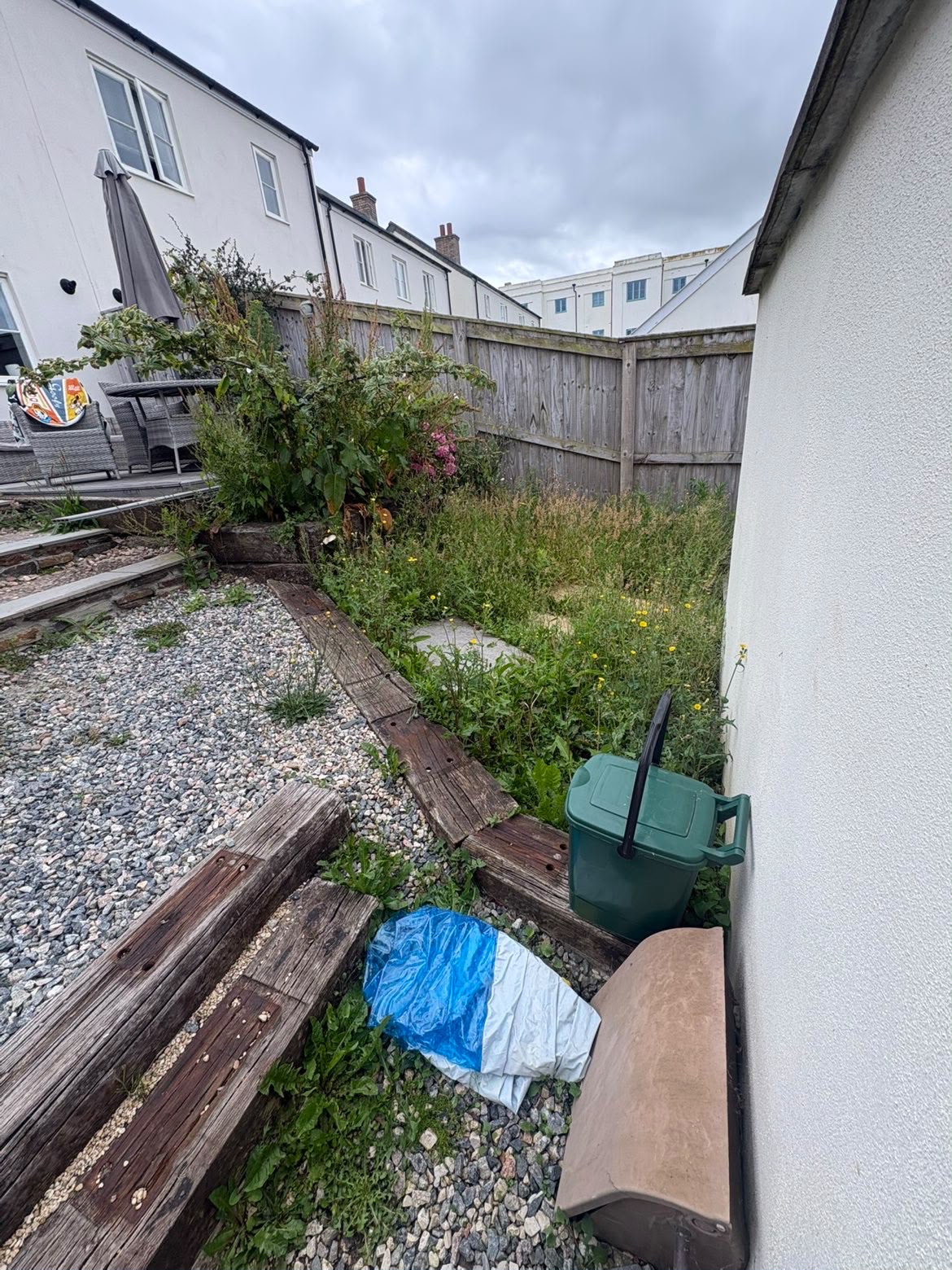 Overgrown garden before restoration