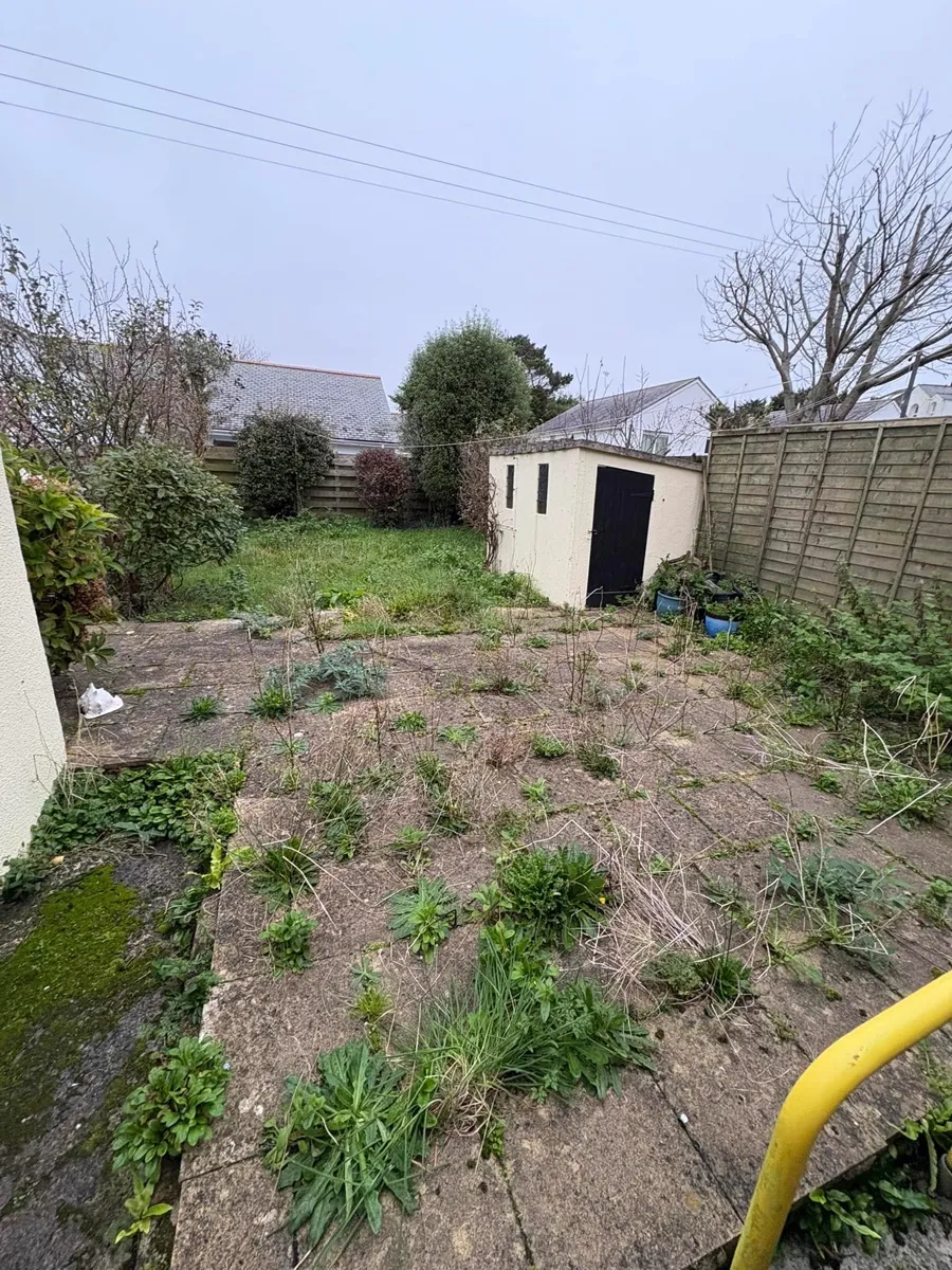 Overgrown weedy patio before clearance