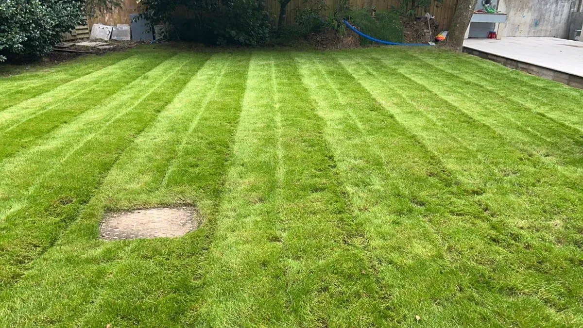 Professional lawn mowing service in Cornwall