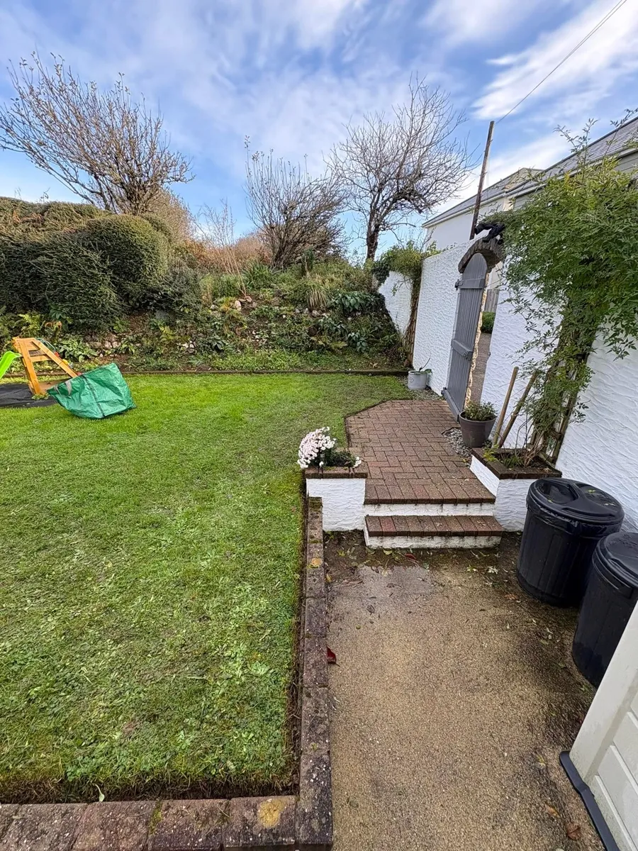 Neatly trimmed hedges and garden borders