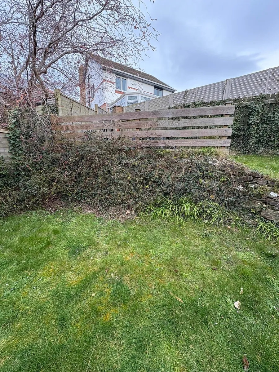 Hedge cutting and shaping in Newquay