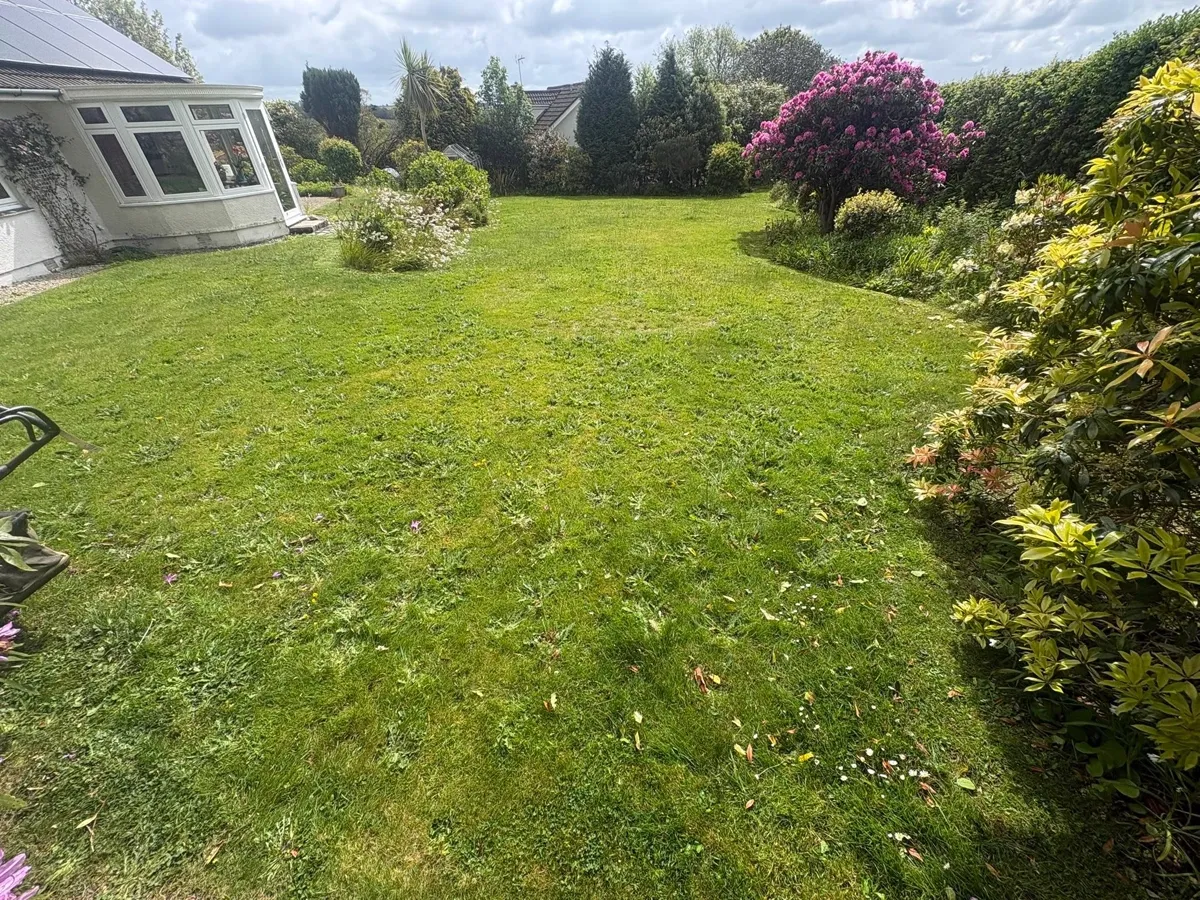 Coastal garden maintained by Sean's Lawns near Crantock Cornwall