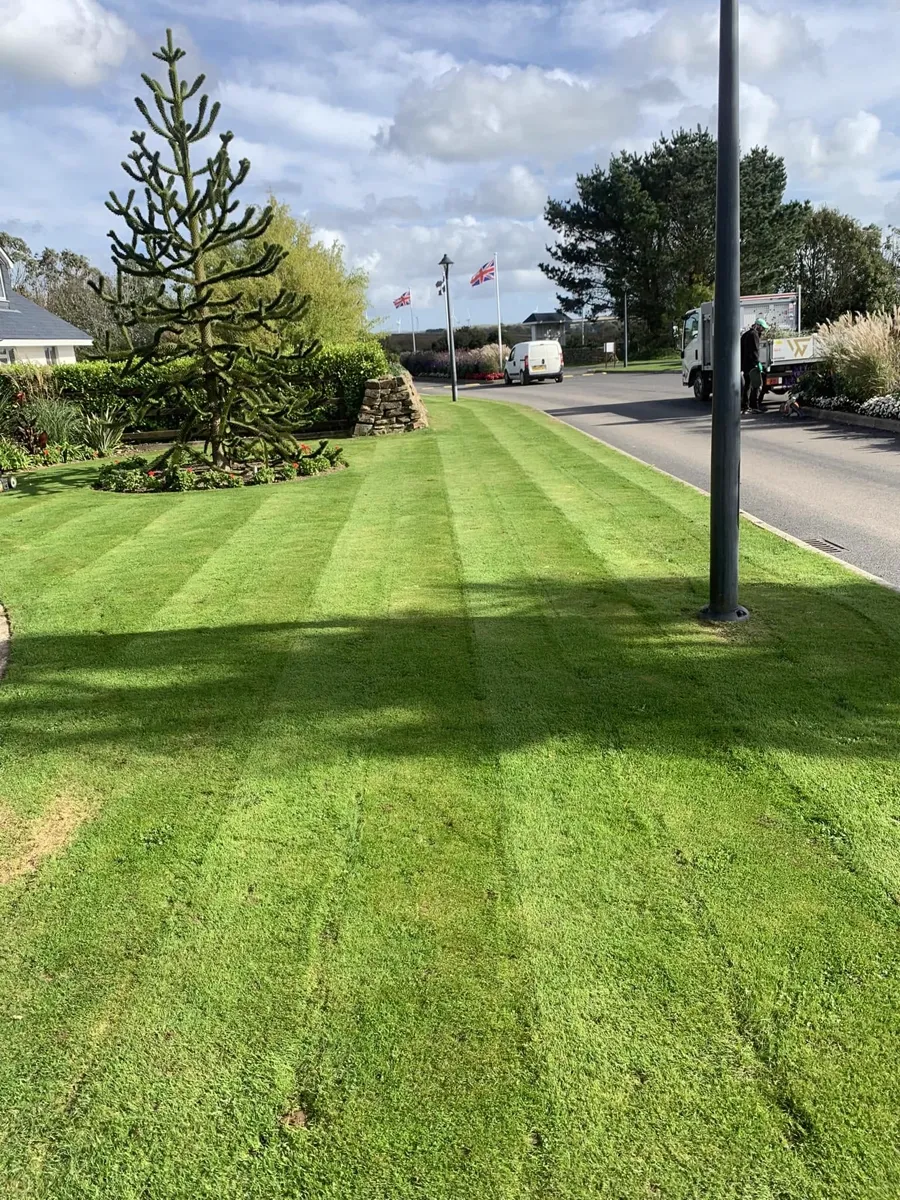 Striped lawn in Cornwall
