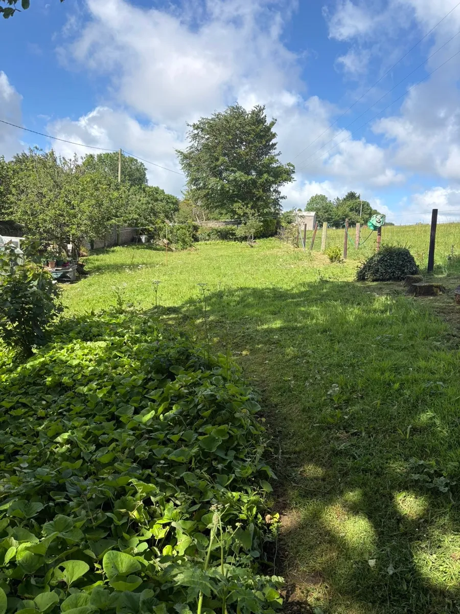 Planting and seasonal garden care Cornwall
